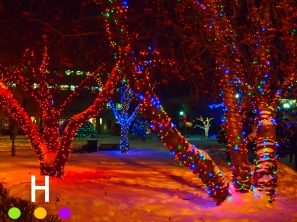 City Hall Park lights, Red Deer
